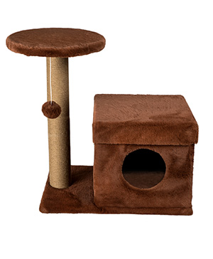 Arbre a chat 80x39x72 Cinnamon Long hair
