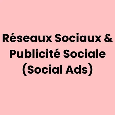 Réseaux Sociaux & Publicité Sociale (Social Ads) de 3 jours  